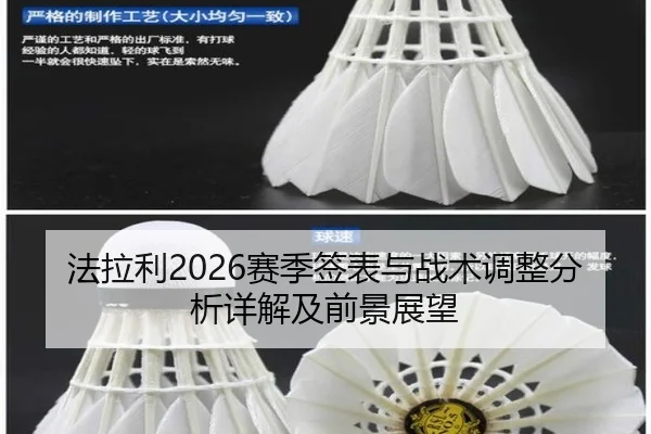 法拉利2026赛季签表与战术调整分析详解及前景展望