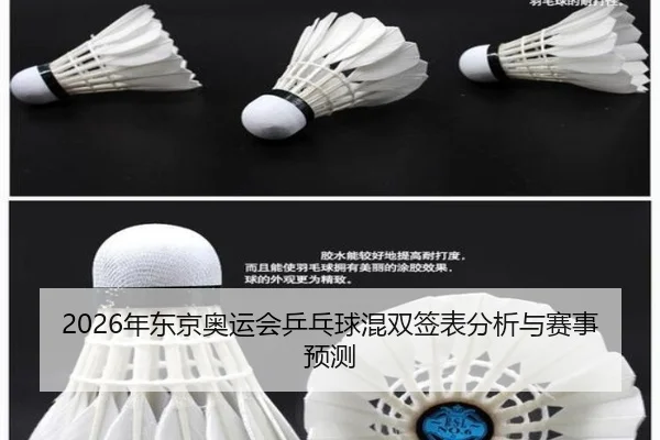 2026年东京奥运会乒乓球混双签表分析与赛事预测