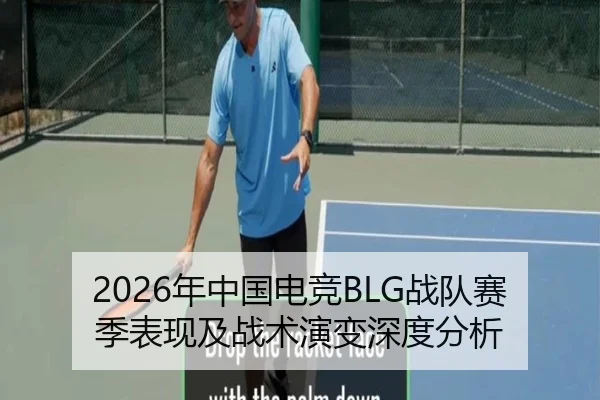 2026年中国电竞BLG战队赛季表现及战术演变深度分析